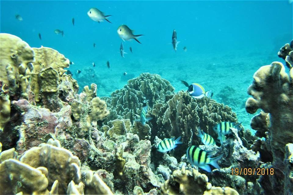 Pulau Weh Paradise Sabang  Exterior foto